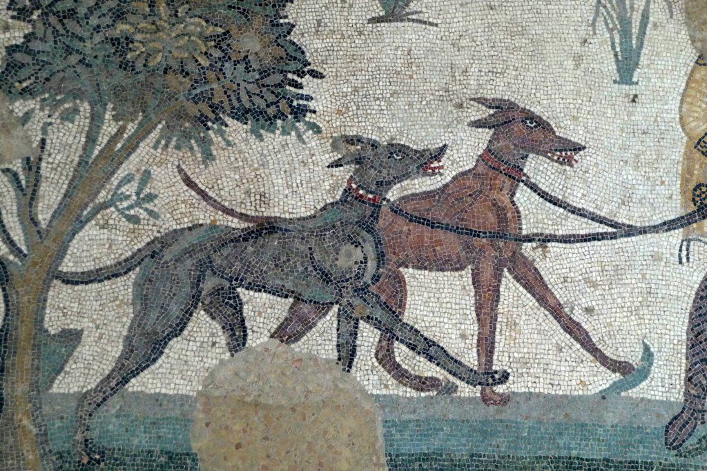 Ancient dog grooming reference, Egyptian art or grooming tools
