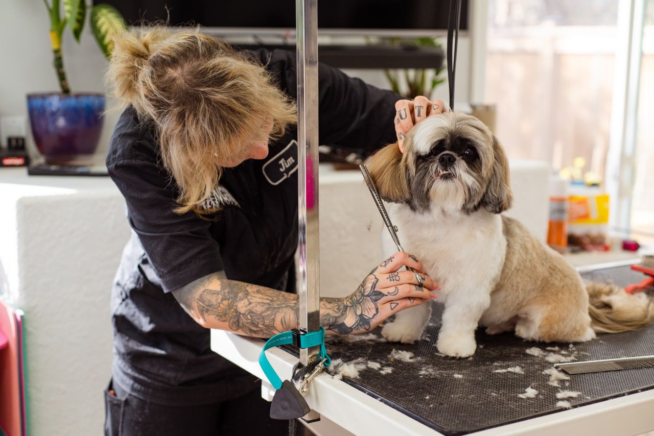 Riverside Pet Grooming — sample business photo placeholder